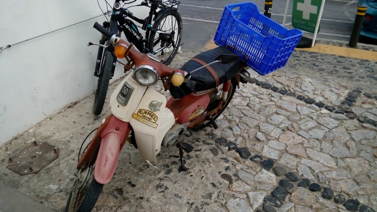 Vandaag in het wild tegen gekomen. Een echte camel Trophy c 50