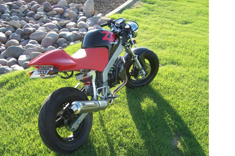 honda pbr monkey R.png