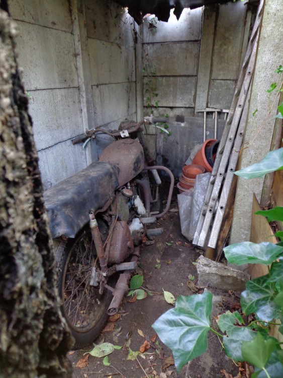 DSC00067.JPG