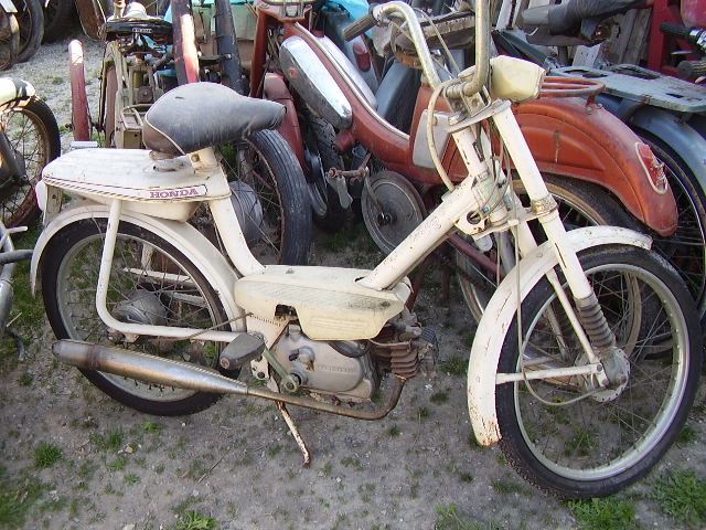 amigo ivory white.jpg