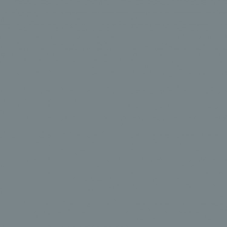 ral7000_eekhoorn_grijs.jpg