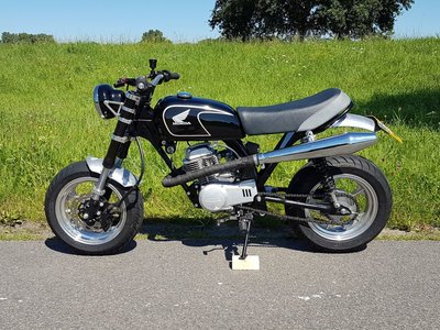 309768921-2.jpg